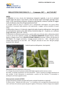 BOLLETTINO NOCCIOLO N. 1 - Campagna 2017 - del 27-03-2017