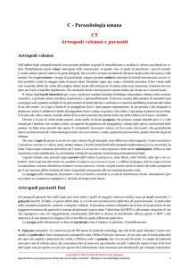 Artropodi velenosi e parassiti - Zanichelli online per la scuola