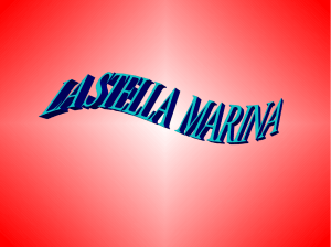 La stella marina