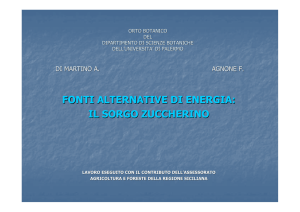 fonti alternative di energia - Università degli Studi di Palermo
