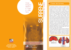 Il tumore del surrene - Società Italiana di Urologia
