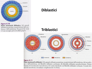riproduzione e sviluppo 6