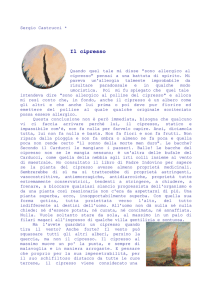 Sergio Castrucci - Rotary Club Arezzo Est