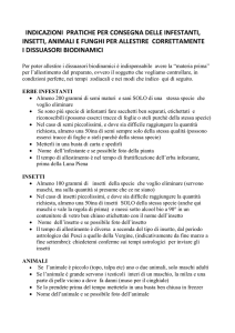 indicazioni per consegna basi per dissuasori