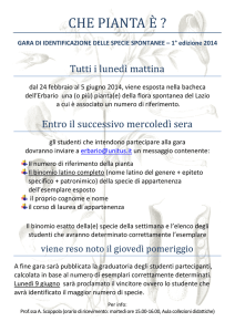 che pianta è - Erbario