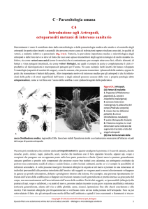 Introduzione agli Artropodi, ectoparassiti metazoi di interesse sanitario