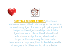 SISTEMA CIRCOLATORIO Il sistema circolatorio è costituito dal