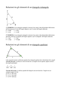 triangolo rettangolo e qualunque III BECHI