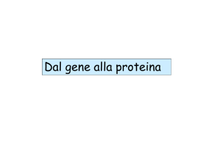 Presentazione di PowerPoint
