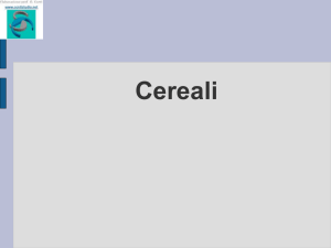 Cereali