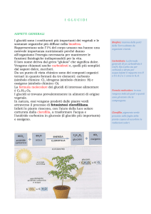 Glucidi: Classificazione, Funzioni e Fabbisogno
