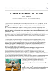 il carcinoma mammario nella cagna