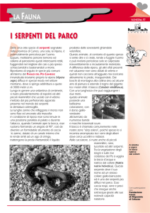 i serpenti del parco i serpenti del parco