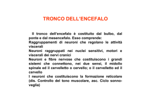 Cervelletto e nuclei della base
