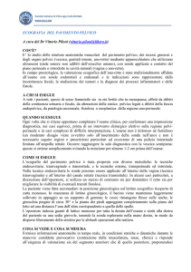 Clicca qui per scaricare il documento