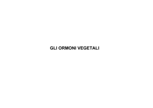 GLI ORMONI VEGETALI