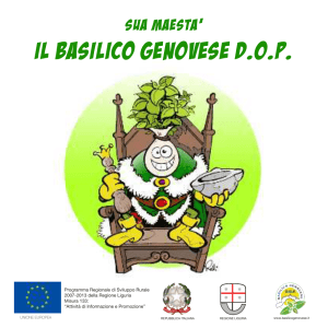 scarica allegato - Basilico Genovese DOP