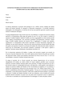 CONSENSO INFORMATO BICIPITE BRACHIALE