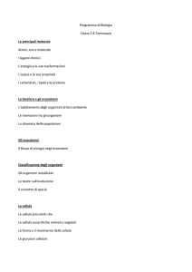 TOMPSScienze2BCutrona