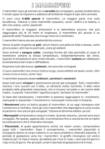 i mammiferi - DigiScuola
