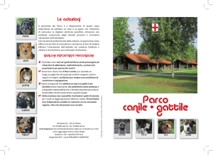 Parco canile • gattile