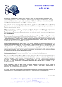 Infezioni di nodavirus nelle cernie