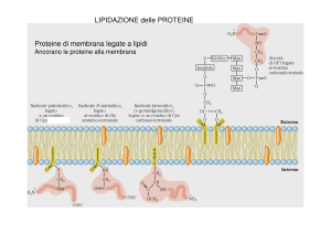 Lezione 11