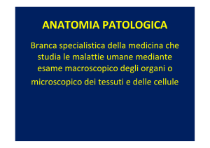 ant pat studenti1 - + Corso di Laurea Infermieristica