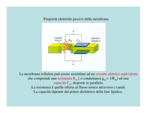 Proprietà elettriche passive delle membrane biologiche