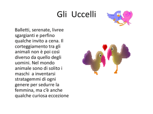 Gli uccelli - Soglian Amaldi