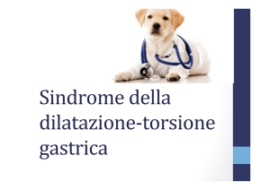 Sindrome della dilatazione-torsione gastrica