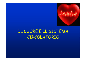 IL CUORE E IL SISTEMA CIRCOLATORIO