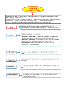 GENETICA - segregazione