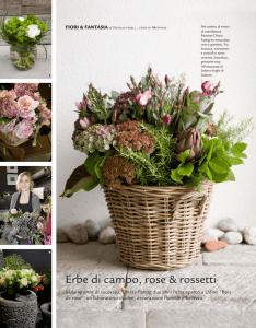 stampa - Bois de rose