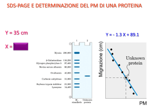 20° esercizi