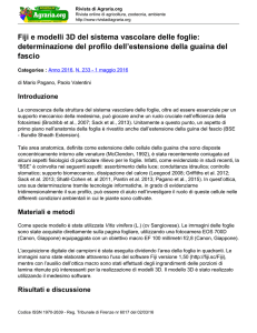 Fiji e modelli 3D del sistema vascolare delle foglie