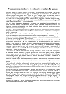 Umanizzazione di anticorpi ricombinanti contro beta 1