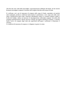 Alla fine del ciclo vitale delle microalghe, la decomposizione