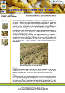 Bollettino Difesa Integrata mais - Brescia