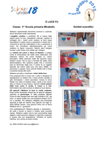 Testo con descrizione che dve essere auklle tot righe e to caratteri
