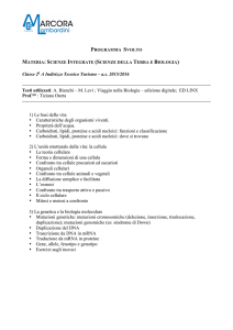Classe 2a A Indirizzo Tecnico Turismo – as 2015/2016