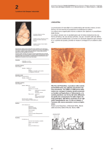 scheda02