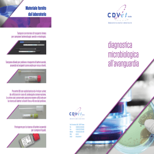 Scarica il documento in formato PDF