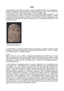Matteucci - Rotary Club Livorno