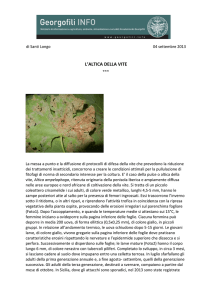 Stampa - Georgofili INFO