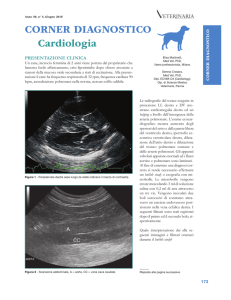 CORNER DIAGNOSTICO Cardiologia