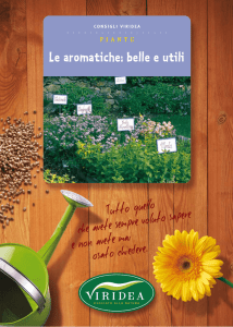 Le piante aromatiche