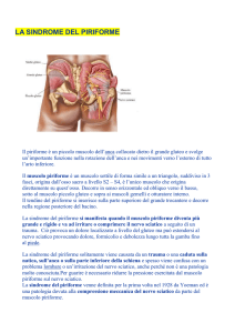 la sindrome del piriforme
