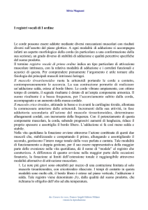 I registri vocali di I ordine Le corde possono essere