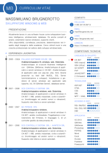 curriculum vitae